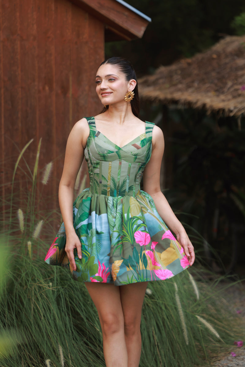 CAROLINA DRESS